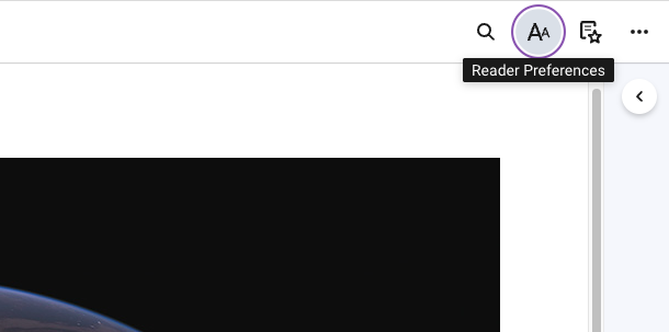 Reader preferences view